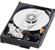 WD Caviar Green RX - 1TB_444475413