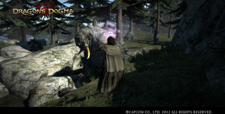 Dragons Dogma (Xbox 360)_816200396