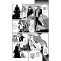Komiks Čarodějova nevěsta, 2.díl, manga