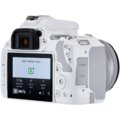 Canon EOS 250D + 18-55mm IS STM, bílá_517677825