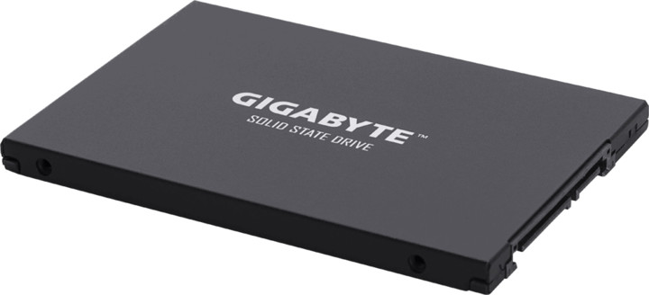 GIGABYTE SSD UD PRO, 2,5&quot; - 256GB_2018503940