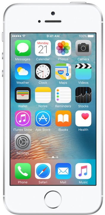 Apple iPhone SE 64GB, stříbrná_1475062761