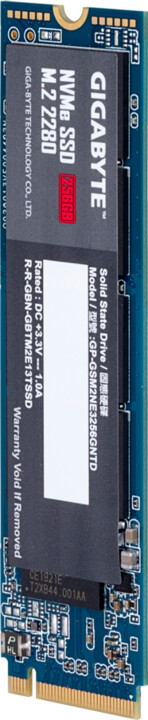 GIGABYTE SSD, M.2 - 256GB_1671902512