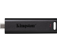 Kingston DataTraveler Max Typ C - 1TB, černá
