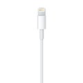 Apple, Lightning to USB Cable 0,5m_2021041992