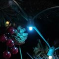 MiPow Playbulb String chytrý LED řetěz 10 m_1495190984