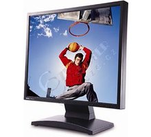 BenQ FP93GX+ - LCD monitor 19&quot;_2001000246