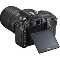 Nikon D7500 + 18-105 AF-S DX VR_1706077061