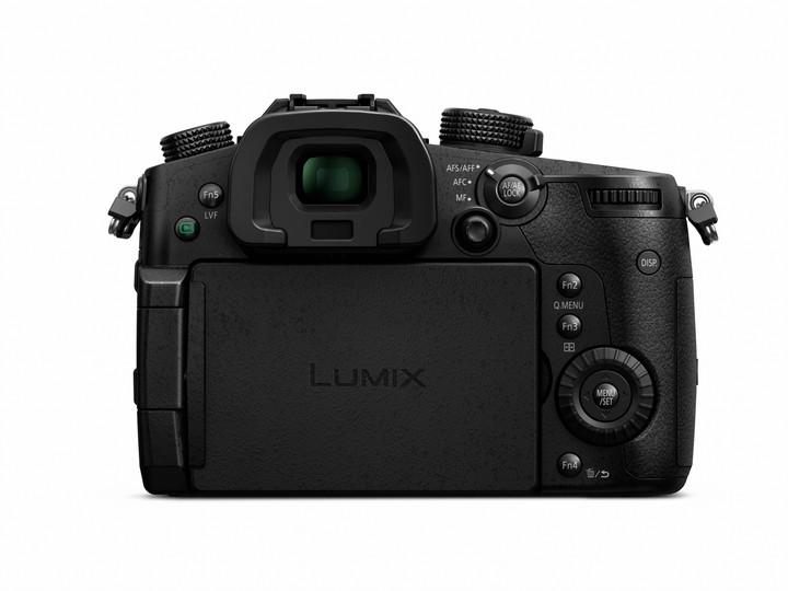 Panasonic Lumix DMC-GH5 + Leica DG 12-60mm f/2.8-4_2037527861