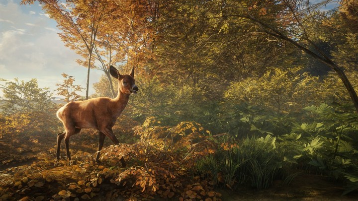 theHunter: Call of the Wild (PS4)_979998415