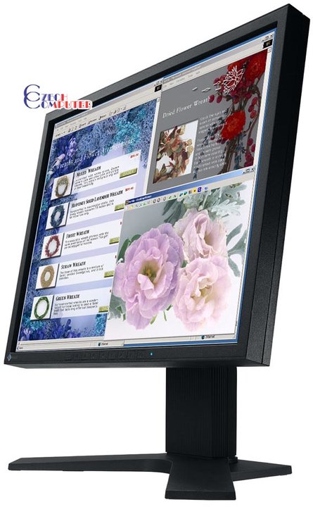 Eizo L568AS-K - LCD monitor 17&quot;_334163935