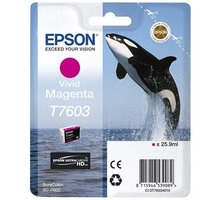 Epson T7603, (25,9ml), vivid magenta_1637562981