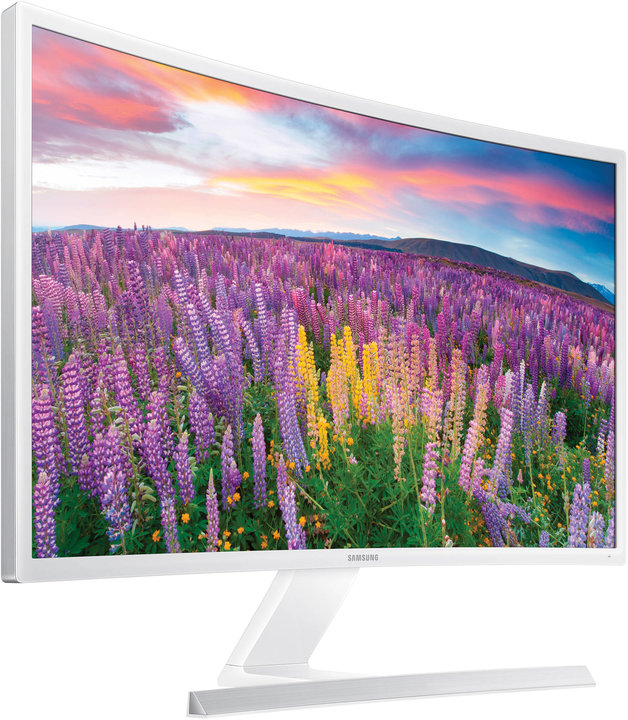 Samsung S27E591C - LED monitor 27&quot;_300237868