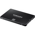Samsung SSD 850 EVO - 500GB, Basic