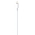 Apple Lightning to USB-C Cable (1 m)_1429415079