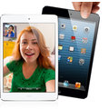 APPLE iPad mini, 16GB, černá_597216631