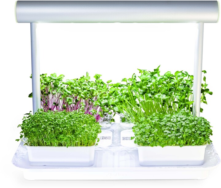 Microgreens by Leaf Learn Mini Starter Pack_503122537