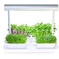 Microgreens by Leaf Learn Mini Starter Pack_503122537