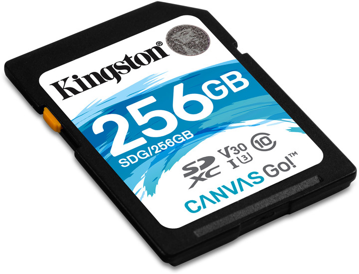 Kingston SDXC Canvas Go! 256GB, UHS-I U3_2135820190