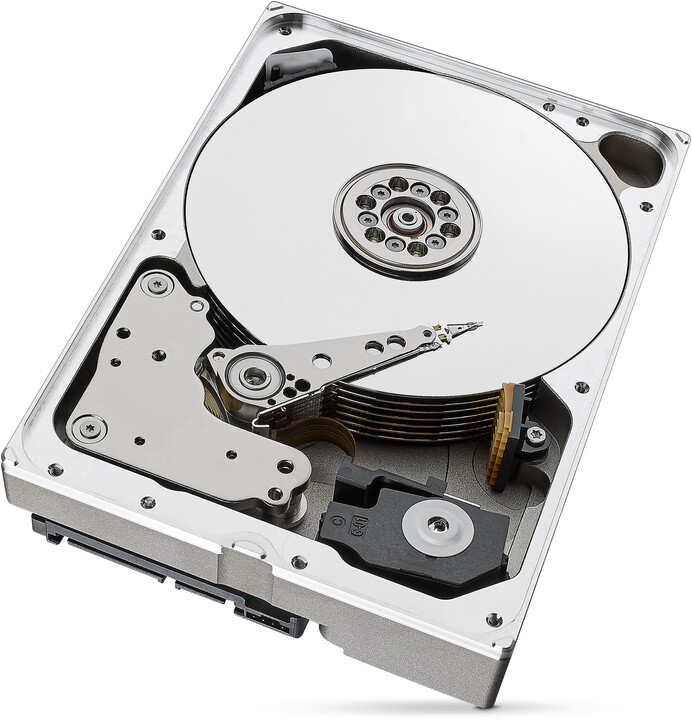 Seagate SkyHawk AI, 3,5&quot; - 10TB_1862437220