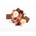 Mixit müsli Mix pro naše broučky - kakaové polštářky/ovoce, 400g_2002596155