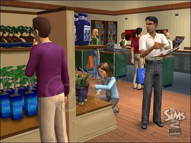 The Sims 2 Open For Business_711448283