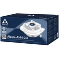 Arctic Alpine AM4 CO_308742111