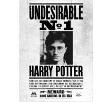 Skleněný plakát Harry Potter - Undesirable No. 1_1933065165