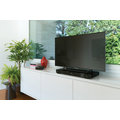 Sony KD-49X8305C - 123cm_502720357