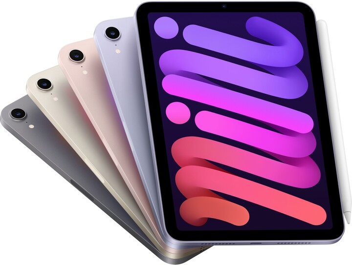 Apple iPad mini 2021, 256GB, Wi-Fi, Space Gray_335548774