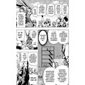 Komiks My Hero Academia - Moje hrdinská akademie, 2.díl, manga_1519229195