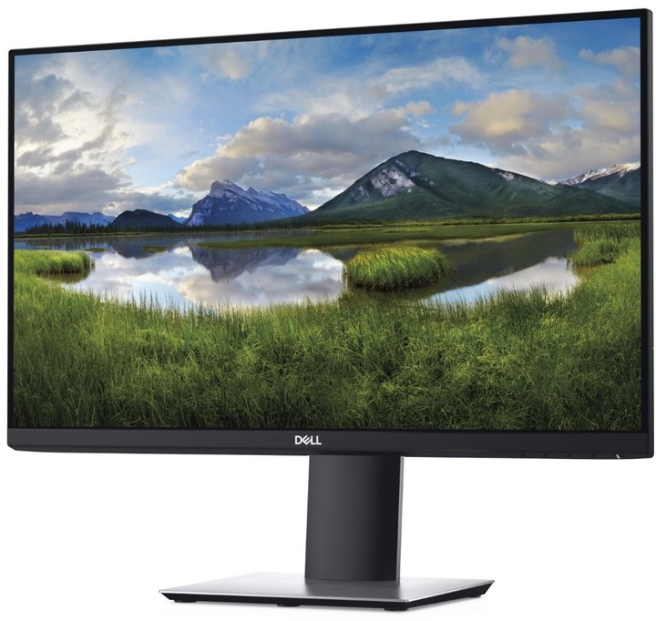 Dell Professional P2419H - LED monitor 24&quot;_1867105791