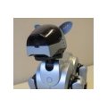 Já, robot.