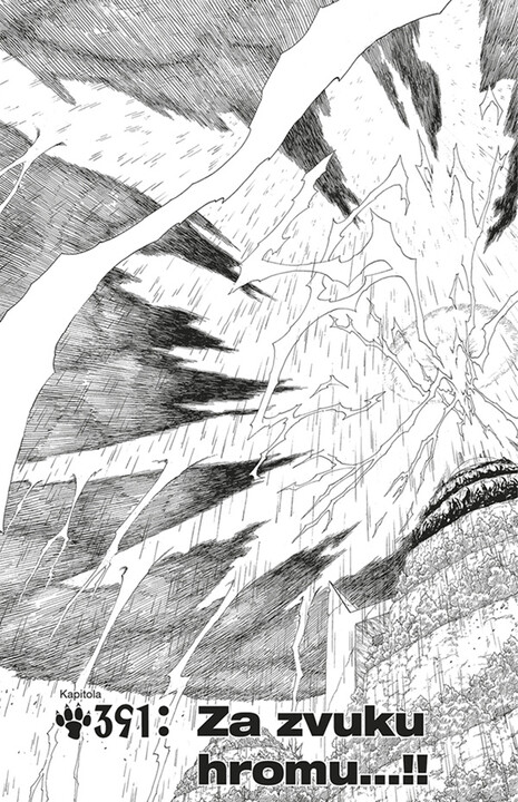 Komiks Naruto: Ten, který zná pravdu, 43.díl, manga_129290210