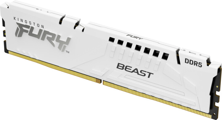 Kingston Fury Beast White 32GB DDR5 5600 CL36, AMD EXPO_1176277257