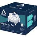 Arctic Alpine 17 CO_860652069