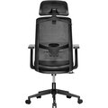 CZC.Office Torus One, kancelářská židle, ergonomická_956189059