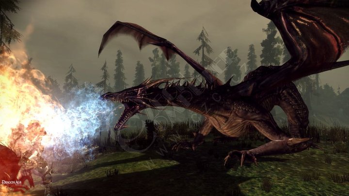 Dragon Age: Prameny (Xbox 360)_268680875