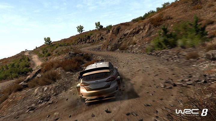 WRC 8 - Collector Edition (PC)_1412164569