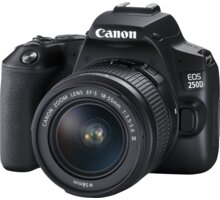 Canon EOS 250D + 18-55mm f/3.5-5.6 DC III Poukaz 200 Kč na nákup na Mall.cz + O2 TV HBO a Sport Pack na dva měsíce
