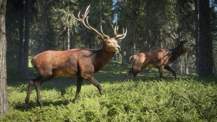 theHunter: Call of the Wild (PS4)_693395177