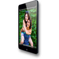 APPLE iPad mini, 16GB, černá_170189441