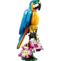 LEGO® Creator 31136 Exotický papoušek_1669852797