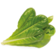 Click and Grow římský salát, kapsle se semínky a substrátem 3ks_81002368