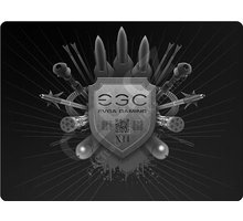 EVGA Gaming Surface - EGC_1198764453