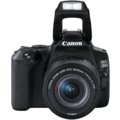 Canon EOS 250D + 18-55mm IS STM, černá_272975049