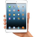 APPLE iPad mini, 16GB, bílá_1240251809