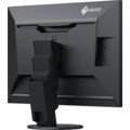 EIZO FlexScan EV2457-BK - LED monitor 24"