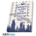 Dárkový set Harry Potter - Hedwig, hrnek, klíčenka, zápisník, 250ml_1974137155