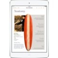 APPLE iPad Mini, Retina, 64GB, Wi-Fi, stříbrná_257377732